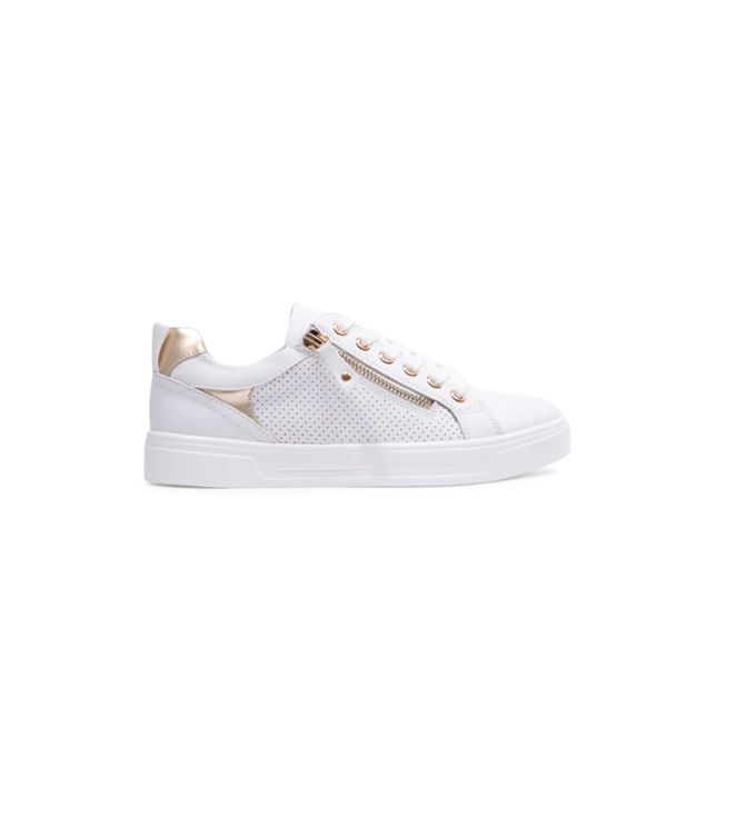 Sneaker Steve Madden Brooke 